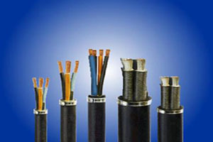 綠色環(huán)保電線(xiàn)電纜 生存的根本與未來(lái)的趨勢(shì)